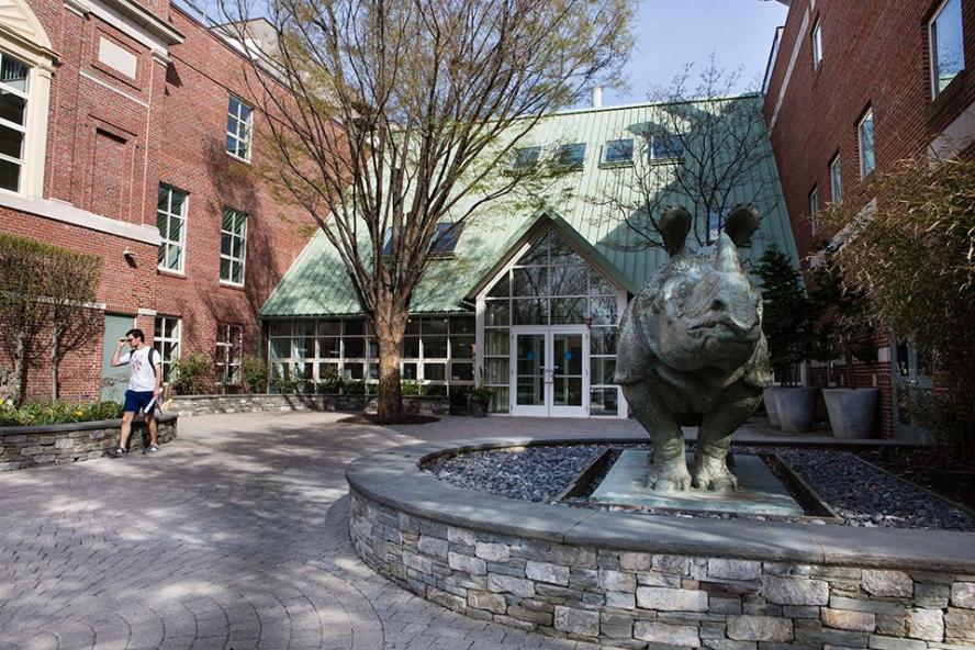 A statue of a rhinoceros stands on the SMFA at Tufts campus in front of a brick building